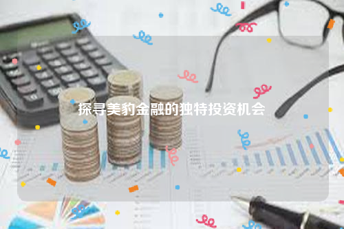 探寻美豹金融的独特投资机会