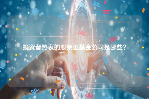 投资者热衷的股票型基金公司是哪些？