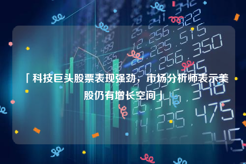 「科技巨头股票表现强劲，市场分析师表示美股仍有增长空间」