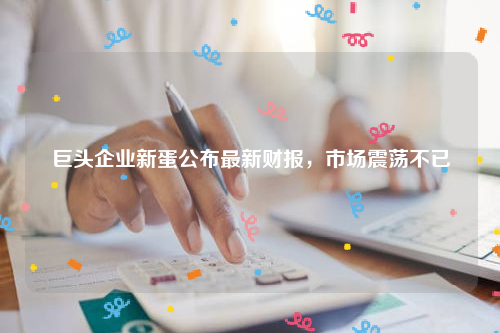 巨头企业新蛋公布最新财报，市场震荡不已