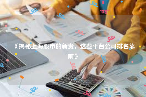 《揭秘上海股市的新贵，这些平台公司排名靠前》