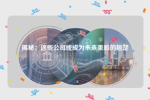 揭秘：这些公司或成为未来美股的翘楚